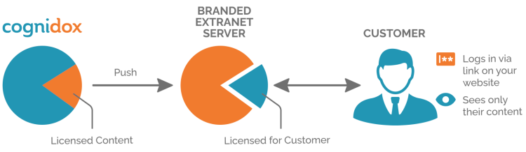 Cognidox-Branded-Extranet-Server-B