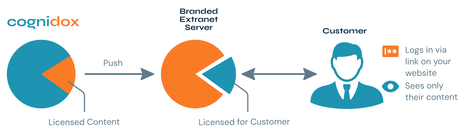 Cognidox-Branded-Extranet-Server-C