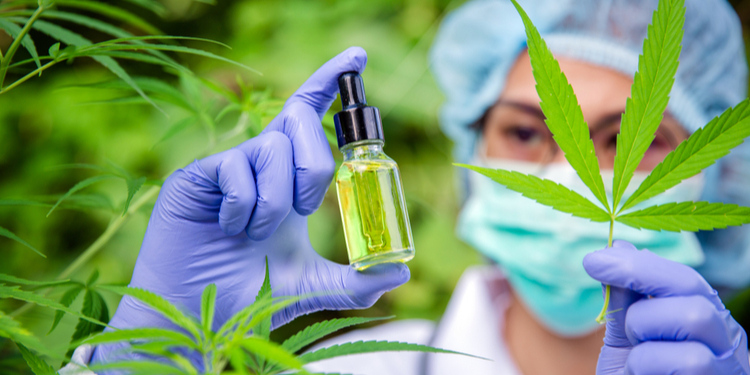 Good Documentation Practice for CBD industry