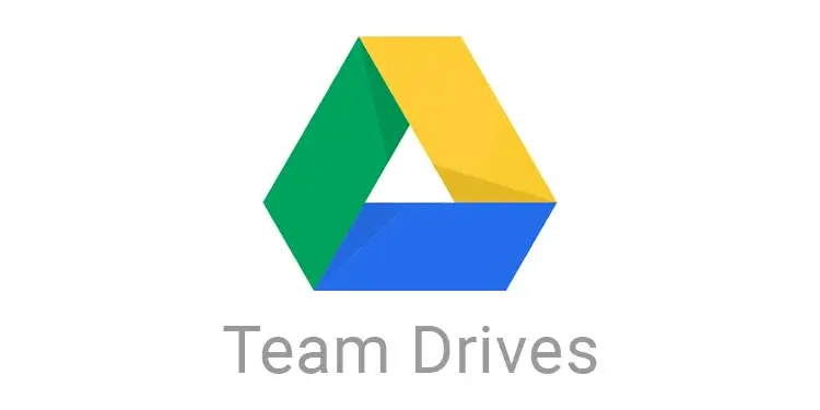 Google team drives Document Management System